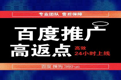 竞价托管SEM案例分析：提升品牌曝光度